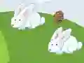 თამაში Crazy Eggs ონლაინ