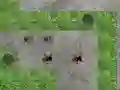 თამაში Spider Tower Defence ონლაინ