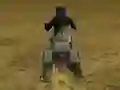 თამაში Real Moto Stunts Challenge ონლაინ