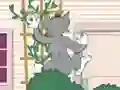 თამაში Tom und Jerry: Wasserbomben Wahnsinn ონლაინ