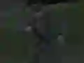 თამაში Soviet Sniper ონლაინ