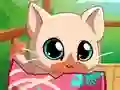 თამაში My Pocket Pets Kitty Cat ონლაინ