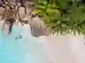 თამაში Seychelles Beach Jigsaw Puzzle ონლაინ