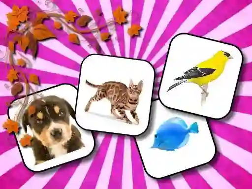 თამაში Animals Memory ონლაინ