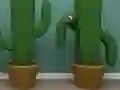 თამაში Cactus Cube ონლაინ