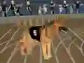 თამაში Crazy Dog Racing Fever ონლაინ
