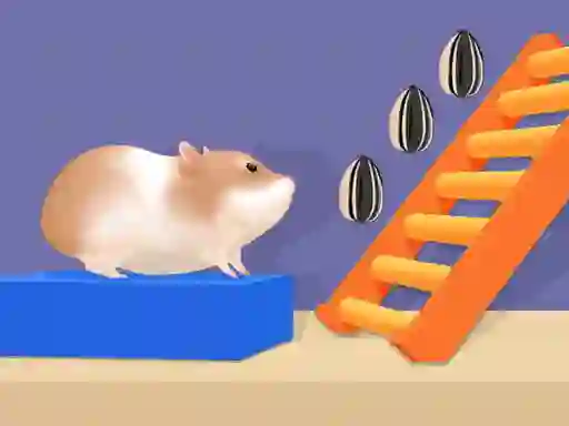 თამაში Hamster Stack Maze ონლაინ