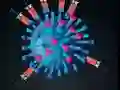 თამაში Kill The Coronavirus ონლაინ