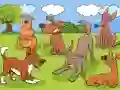 თამაში Animals Differences ონლაინ