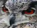 თამაში Wild owl Jigsaw ონლაინ