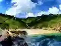 თამაში Parrot House Escape ონლაინ