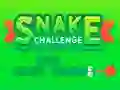 თამაში Snake Challenge ონლაინ