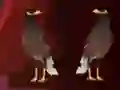 თამაში Peikin Duck Escape ონლაინ