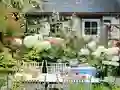 თამაში Flower Garden ონლაინ