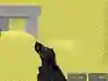 თამაში Pixel Combat Multiplayer ონლაინ