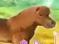 თამაში My Dear Pony ონლაინ