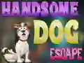 თამაში Handsome Dog Escape ონლაინ