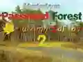 თამაში Mysterious Password Forest Autumn Edition 2 ონლაინ