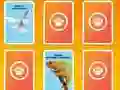 თამაში National Geographic Kids Matching ონლაინ