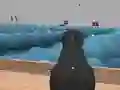 თამაში Ships 3D ონლაინ