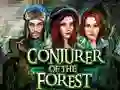 თამაში Conjurer Of The Forest ონლაინ