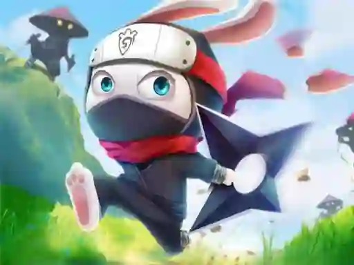 თამაში Ninja Rabbit ონლაინ