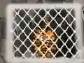 თამაში Tiger Escape 1 ონლაინ