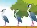 თამაში Violet Bird Escape ონლაინ