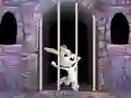 თამაში Victory Rabbit Escape ონლაინ