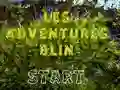 თამაში Les Adventures Blin ონლაინ