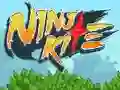 თამაში Ninja Kite ონლაინ