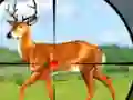თამაში Wild Hunt Hunting Games 3D ონლაინ