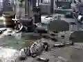 თამაში Friends Rescue From Skeleton ონლაინ