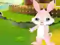 თამაში Find The Buddy Rabbit ონლაინ