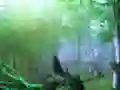 თამაში Trapped Honeybee Escape ონლაინ
