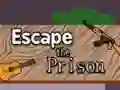 თამაში Escape the Prison ონლაინ