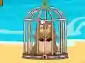 თამაში Escape The Happy Groundhog ონლაინ