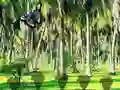 თამაში Rescue Tasmanian Tiger ონლაინ