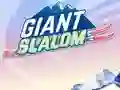 თამაში Giant Slalom ონლაინ
