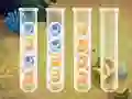 თამაში Sort Bubbles ონლაინ