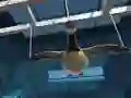 თამაში Goose Museum ონლაინ