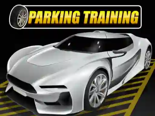 თამაში Parking Training ონლაინ