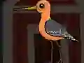 თამაში Cute Godwit Escape ონლაინ