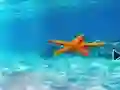 თამაში Escape From Underwater Starfish ონლაინ