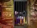 თამაში Hidden Cat Escape ონლაინ