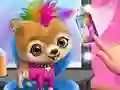 თამაში  Rock Star Animal Hair Salon ონლაინ
