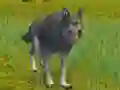 თამაში The Wolf: Wild Animal Simulator ონლაინ