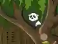 თამაში Panda Jungle Escape ონლაინ
