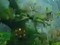 თამაში Innocent Sparrow Couple Escape ონლაინ