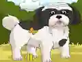 თამაში Dogs Spot the Diffs Part 2 ონლაინ